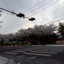 최무선로 이미지