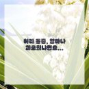 영통단단마디의원 이미지