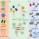 Re: lactic acid 박테리아 fermentation --＞ EPS 2024년 이미지