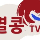멸콩TV 이미지