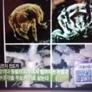 크린케어 이미지