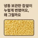 화전 축산 | 냉동 보관한 찹쌀이 누렇게 변했어요, 왜 그럴까요? 해결법 가이드