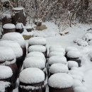 노루마당 이미지