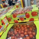 미니토마토 | 🍅 코스트코 미니대추토마토 후기｜가격 10,490원 실화? 달콤한 한입 간식
