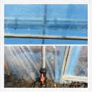 푸르매농장 이미지