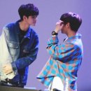 영팔이 이미지