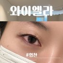 와이엘라