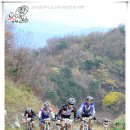 율리 이미지