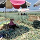 청주시농업기술센터 이미지