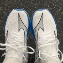 젠(ZEN) | 데일리 / 장거리 러닝 🟢미즈노 네오 젠🔵 &lt;Mizuno Neo Zen&gt; 후기 “ 가볍게 달리기 좋은, 안정적인...