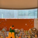 밤밤 애견유치원 이미지