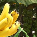 영걸농장 이미지