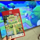 불카드PC | 닌텐도 스위치2 포코피아 입문, 포코피아 키카드 구매후 엄마가 직접 해본 후기