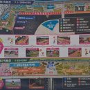 해성노래클럽 | 제25회 마산 가고파 국화축제 일정 정보 및 첫째날 개막식 후기-드론라이트쇼, 축하공연 등