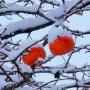 중계본동 이미지