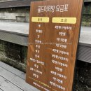 골드머리방