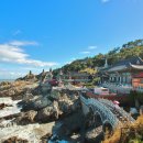 해동용궁사 이미지