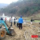 석성면사무소 이미지