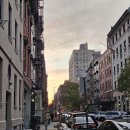 써밋트리 | [뉴욕 혼자 여행-8일차] 써밋 전망대 SUMMIT One Vanderbilt 아침 타임 후기