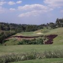 더 리베라 이미지