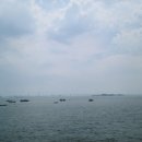 동우횟집 - 순창군 순창5길 21 | 동우횟집