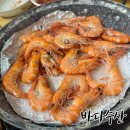 대전 갈마동 가을 대하구이 맛집 바다수산 찐 후기