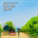 신수도 둘레길 | [섬패킹] 경남 사천 신수도 트래킹 대왕기산 둘레길 사천 8경 (JUN.2023)