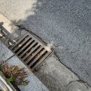 상남동169 이미지