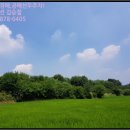 천안시성남면봉양보건진료소 이미지