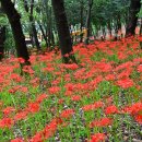 마산공원 Daum카페
