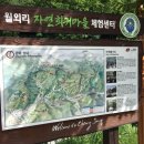 월외리자연회귀마을펜션 네이버블로그