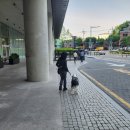 환상 어린이공원 이미지