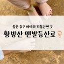 황방산 맨발걷기 | 울산 황방산 맨발걷기 등산로, 아이와 함께 숲 산책 다녀왔어요!