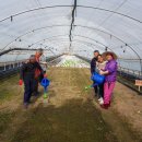 인덕농장 이미지