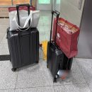 상하이 3번간 마사지샵, 공항 커피☕️, 푸둥공항 면세점 쇼핑(중국술 노백분주 구입) -끝-