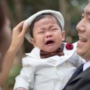 송월타올제일상사