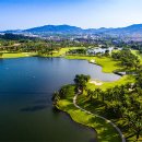 대국골프 이미지