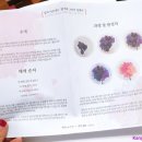 한국화(주간) 이미지