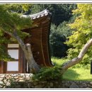 일봉목장 이미지