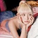 초원크리닝 이미지