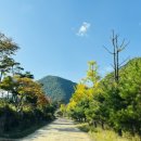 미산가족오토캠핑장 이미지