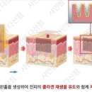 다산샤인빔의원 이미지