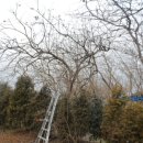 직지농장 이미지