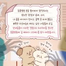 차동물병원 이미지