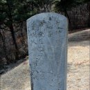 윤원거 묘비 Daum카페