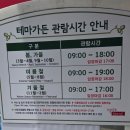 서울대공원 장미원 축제 후기｜코끼리열차 타고 장미원까지 가족 나들이 추천