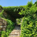 대동리 마을회관 | 김해 대동리 수안마을 "수국","허브 라벤더","보현사" 탐방