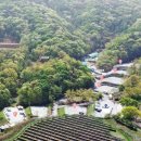 [충남 아산] 가델관광농원 캠핑장- 2층 3번 사이트 애견동반 캠핑 후기(2026년 6월 13~15일, 100번째 캠핑)