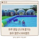 푸른하늘어린이집 | 파주당일캠핑 서울근교 신상 아이캠프 놀거리 가득해요! (물놀이 + 실내놀이터 + 탈것 한가득 + 에어...