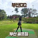 부산칸트리클럽 | 부산cc 1부 라운딩 후기 | 오래된 명문 골프장의 분위기와 코스 컨디션